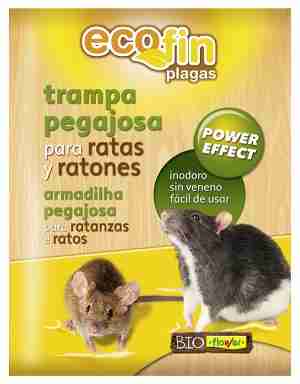 TRAMPA ADHESIVA X3 PARA RATONES C/ ATRAYENTE